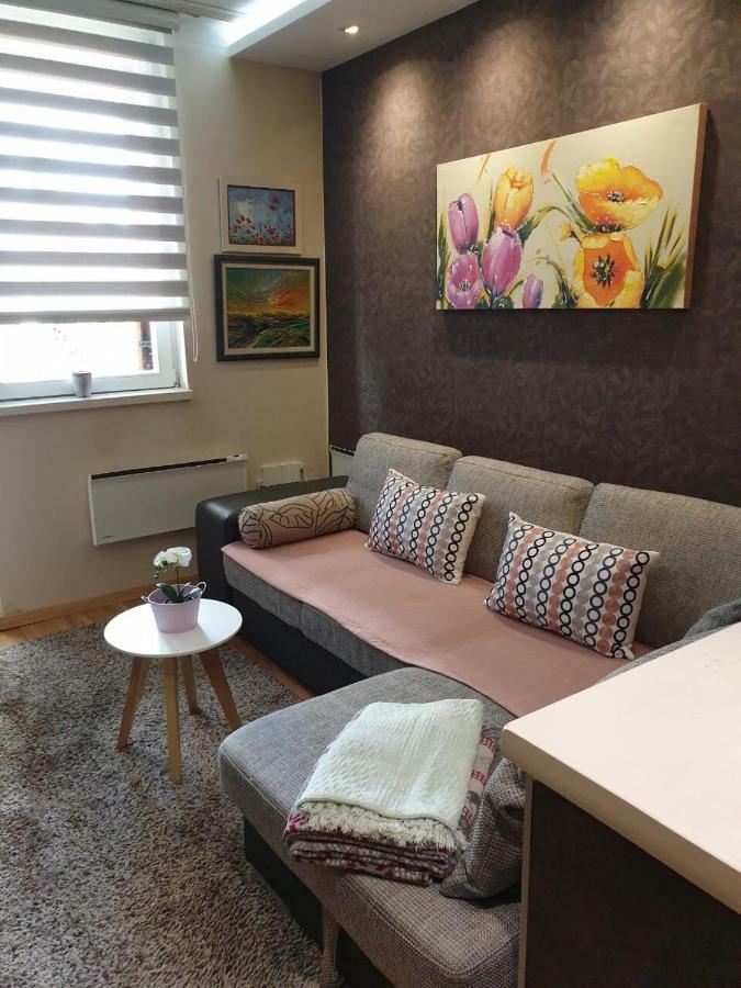 Apartment Marija- Kopaonik Centar المظهر الخارجي الصورة