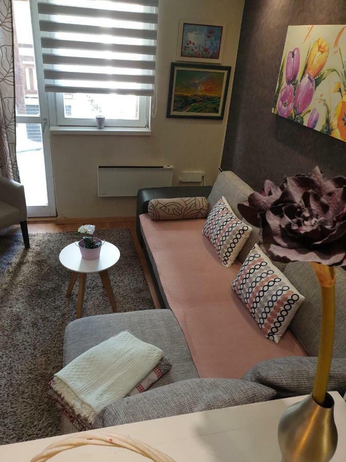Apartment Marija- Kopaonik Centar المظهر الخارجي الصورة